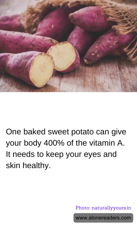 General Knowledge Learning Cards