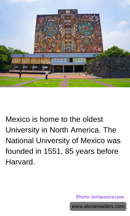 General Knowledge Learning Cards