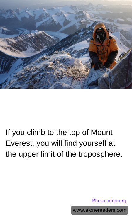 General Knowledge Learning Cards