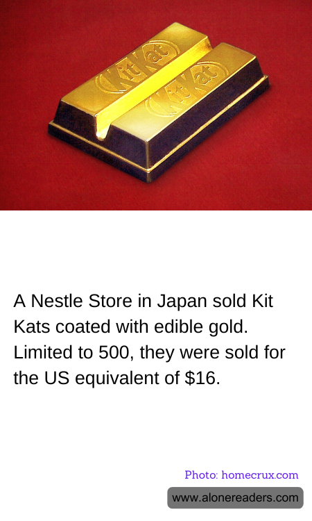 General Knowledge Learning Cards