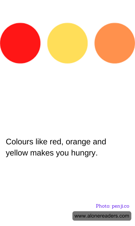 General Knowledge Learning Cards