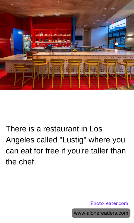 General Knowledge Learning Cards