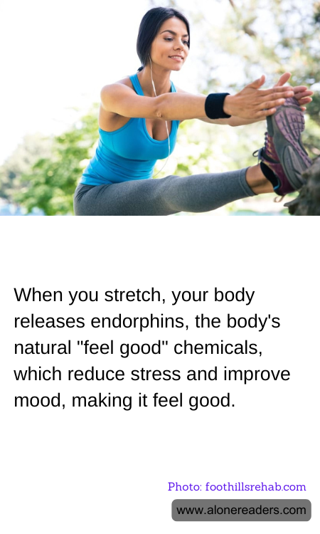 General Knowledge Learning Cards