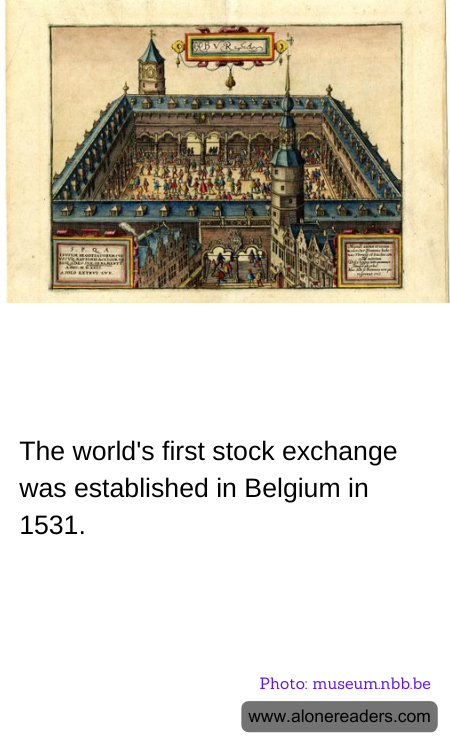 General Knowledge Learning Cards