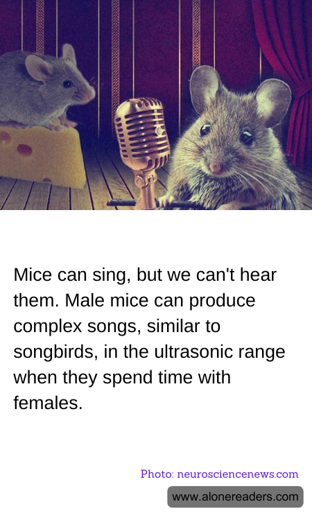 Mice can sing, but we can't hear them. Male mice can produce complex songs, similar to songbirds, in the ultrasonic range when they spend time with females.
