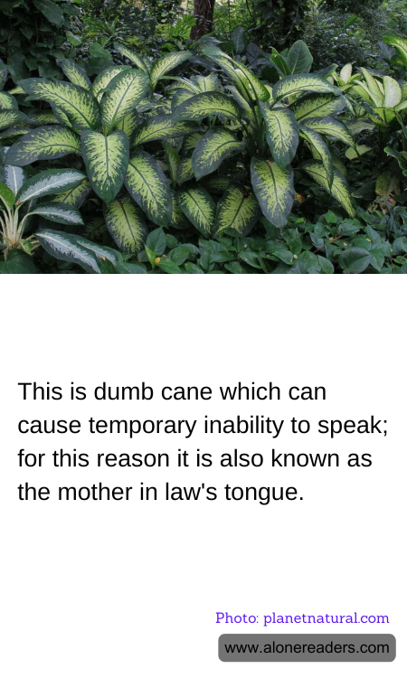 General Knowledge Learning Cards