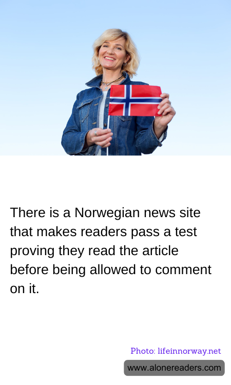 There is a Norwegian news site that makes readers pass a test proving they read the article before being allowed to comment on it.