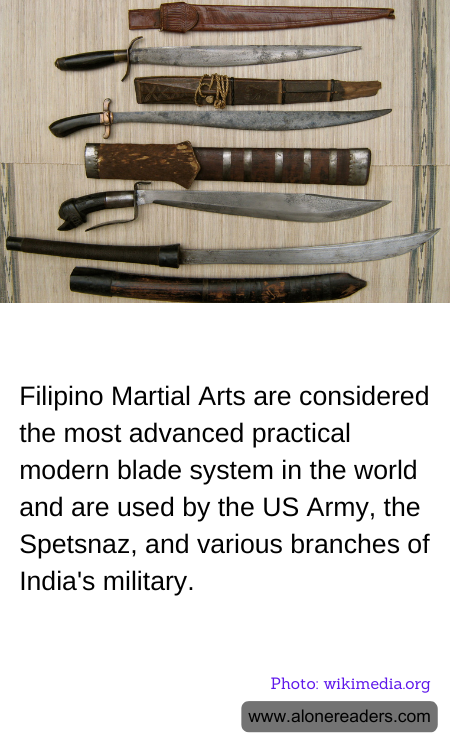 General Knowledge Learning Cards