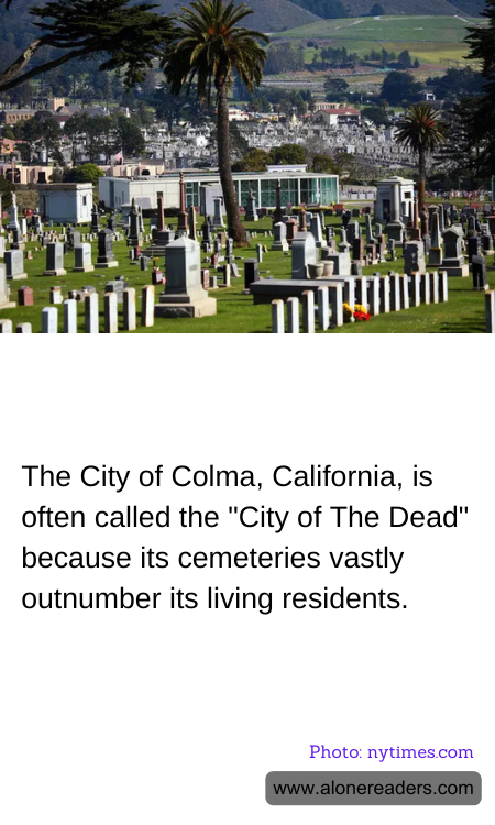 General Knowledge Learning Cards