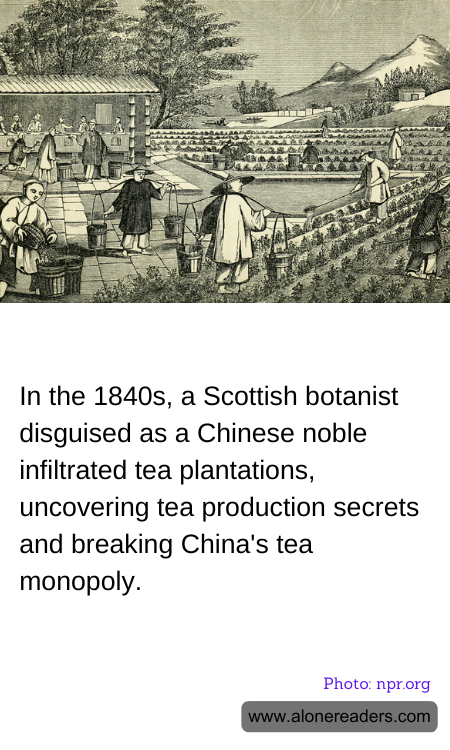 General Knowledge Learning Cards