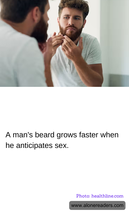 General Knowledge Learning Cards