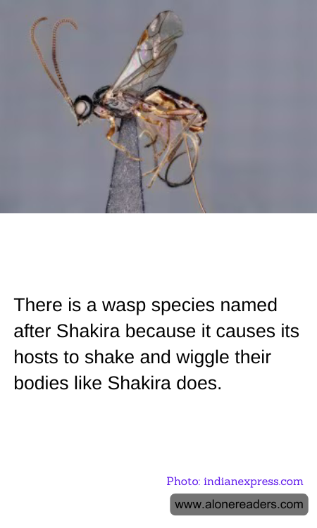 General Knowledge Learning Cards