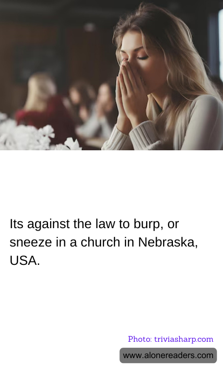 General Knowledge Learning Cards