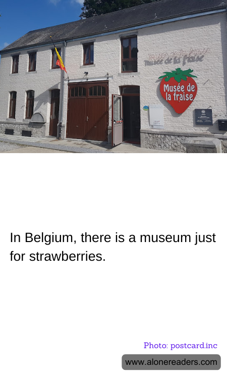 General Knowledge Learning Cards