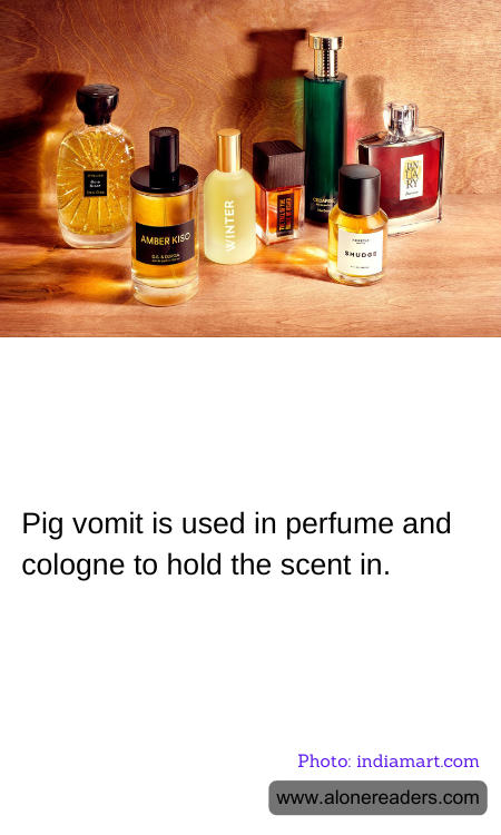 General Knowledge Learning Cards