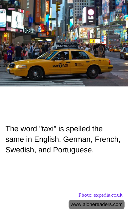 General Knowledge Learning Cards