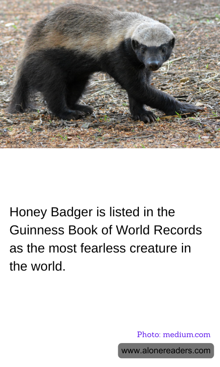 Honey Badger is listed in the Guinness Book of World Records as the most fearless creature in the world.