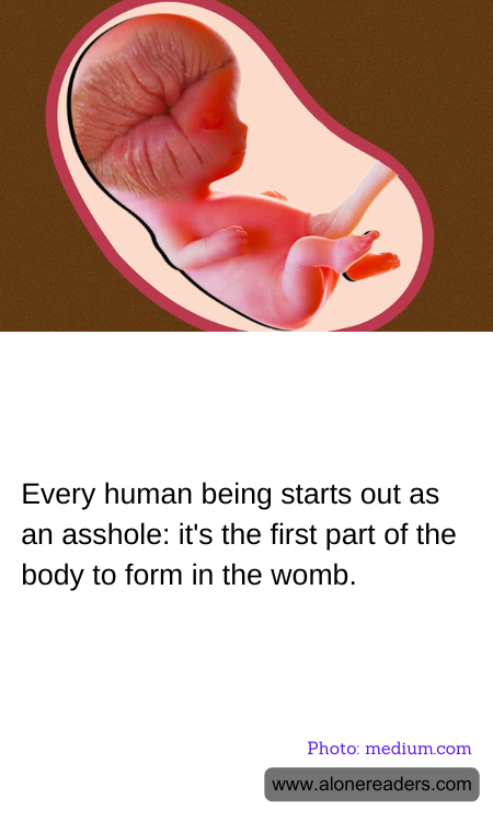 General Knowledge Learning Cards