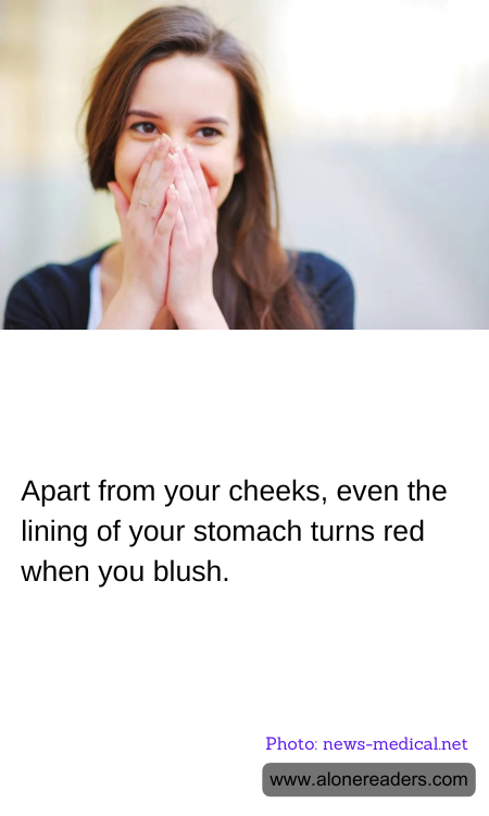 General Knowledge Learning Cards