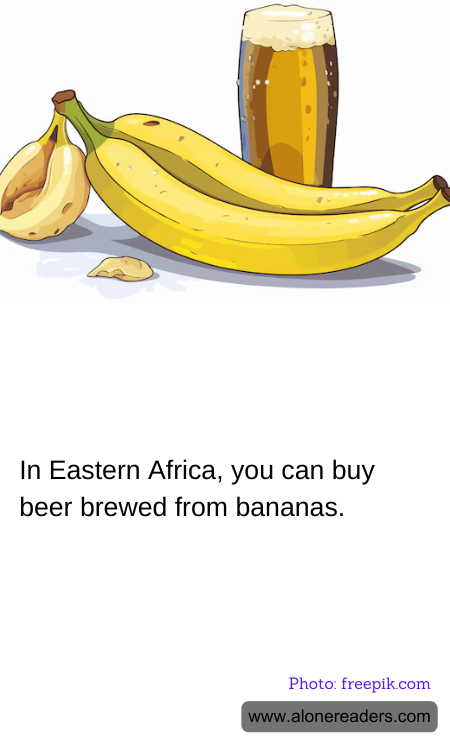 General Knowledge Learning Cards