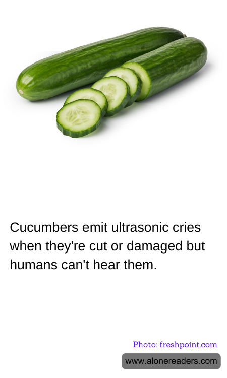 General Knowledge Learning Cards