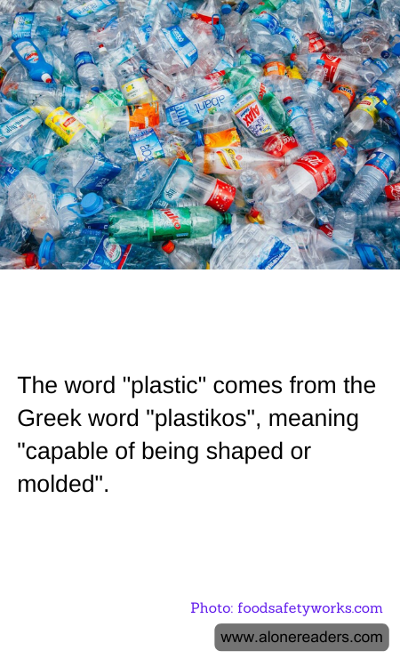 General Knowledge Learning Cards