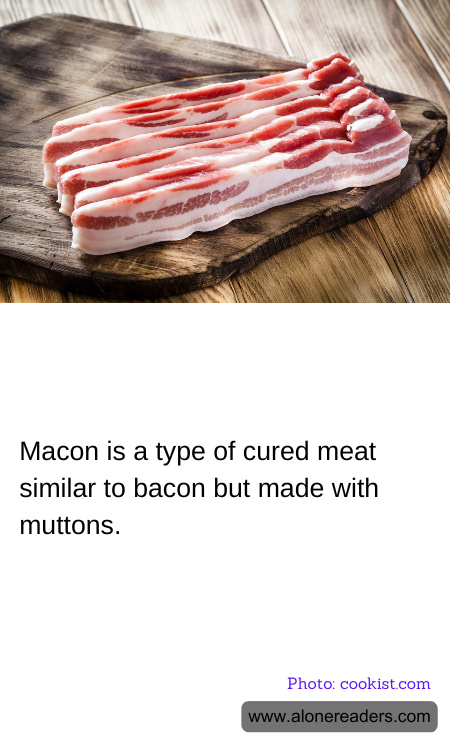 Macon is a type of cured meat similar to bacon but made with muttons.