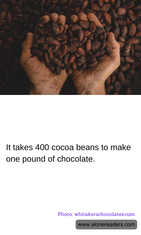 It takes 400 cocoa beans to make one pound of chocolate.
