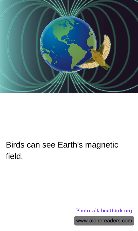 Birds can see Earth's magnetic field.