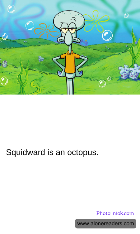 General Knowledge Learning Cards