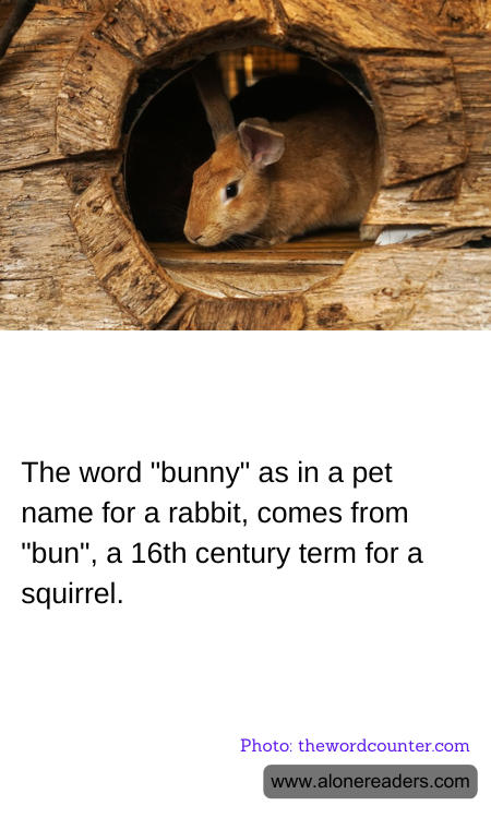 General Knowledge Learning Cards