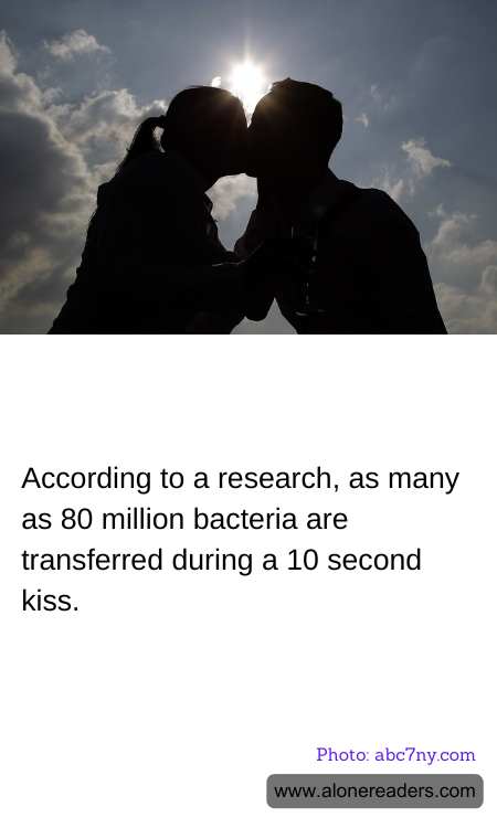 According to a research, as many as 80 million bacteria are transferred during a 10 second kiss.