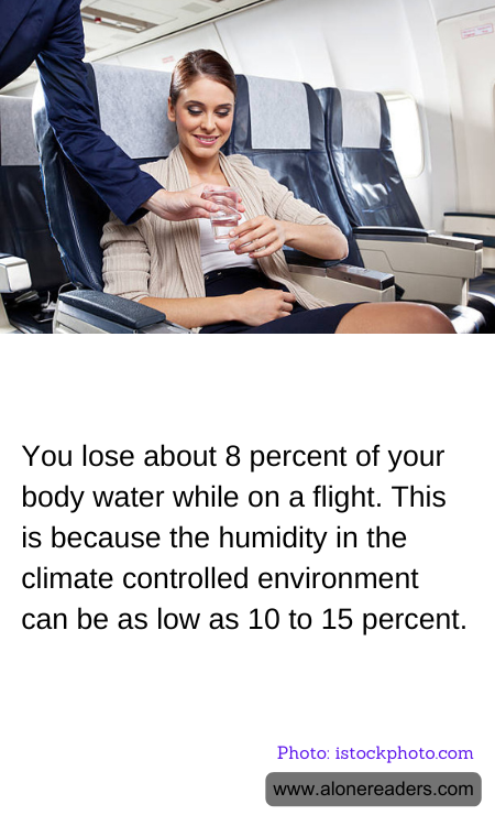You lose about 8 percent of your body water while on a flight. This is because the humidity in the climate controlled environment can be as low as 10 to 15 percent.