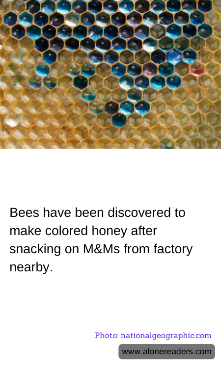 General Knowledge Learning Cards