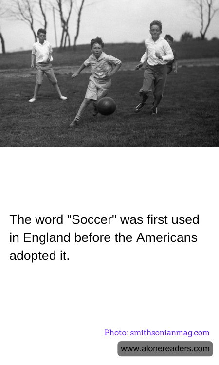 General Knowledge Learning Cards