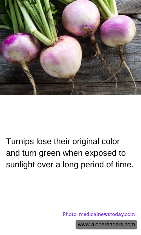 Turnips lose their original color and turn green when exposed to sunlight over a long period of time.