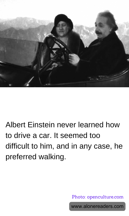 Albert Einstein never learned how to drive a car. It seemed too difficult to him, and in any case, he preferred walking.