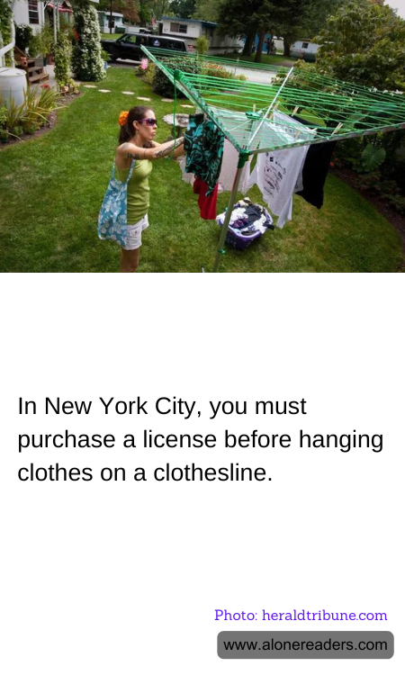 General Knowledge Learning Cards