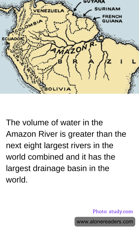 General Knowledge Learning Cards
