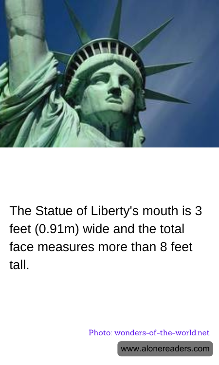 General Knowledge Learning Cards