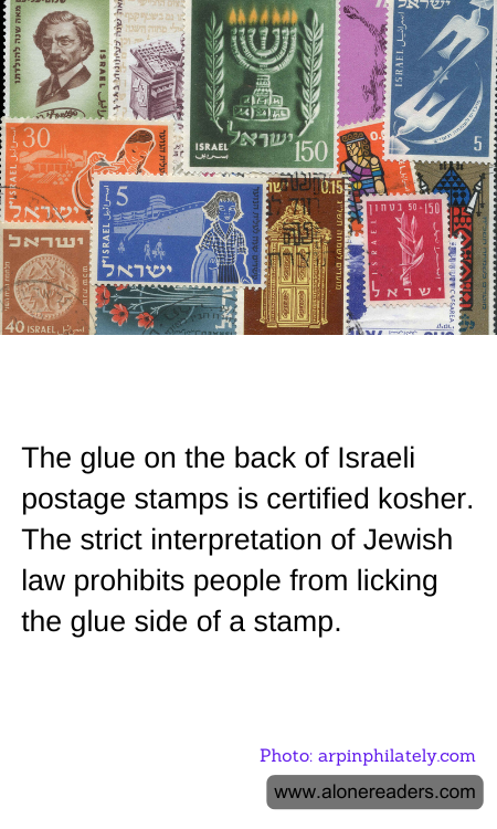 General Knowledge Learning Cards