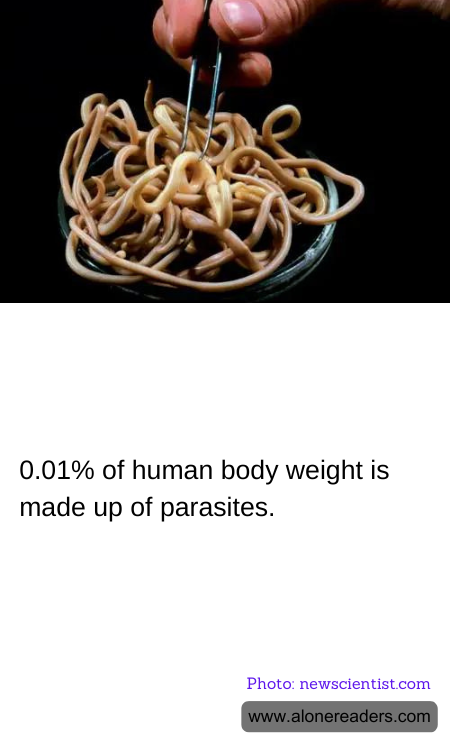 General Knowledge Learning Cards