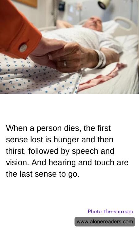 General Knowledge Learning Cards