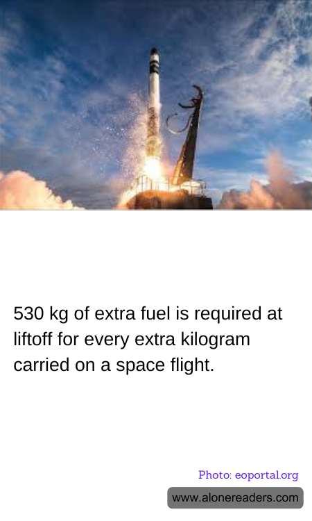 General Knowledge Learning Cards