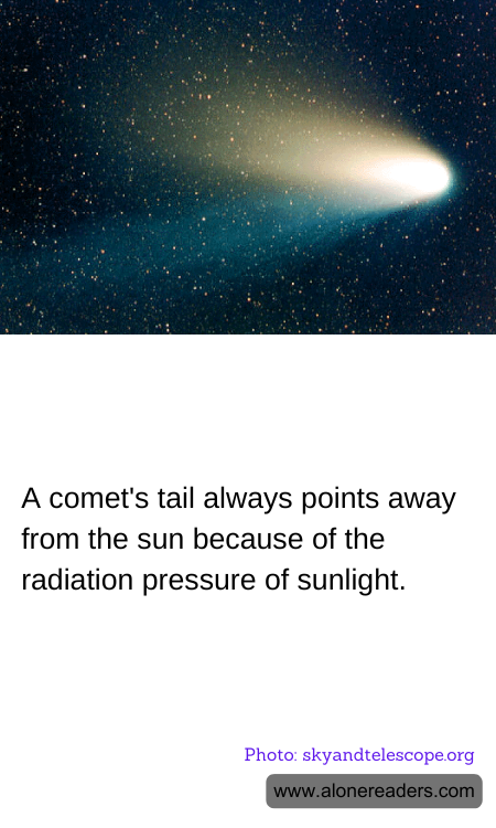 General Knowledge Learning Cards