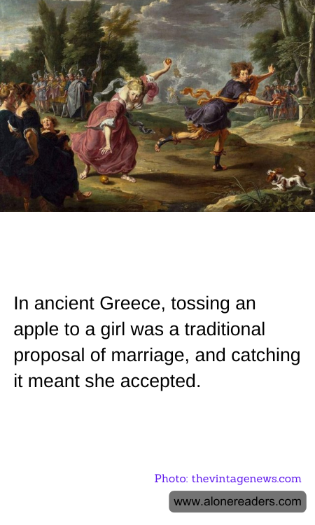 General Knowledge Learning Cards