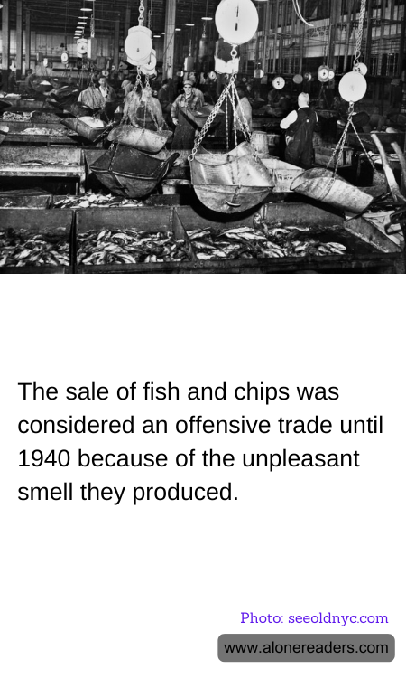 General Knowledge Learning Cards