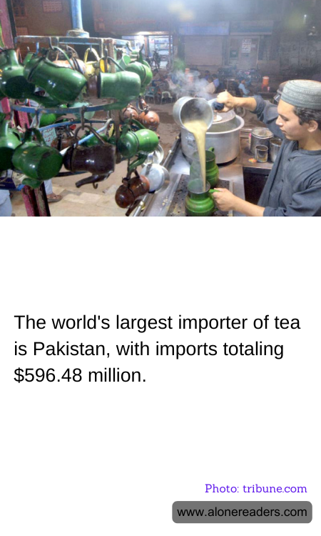 General Knowledge Learning Cards