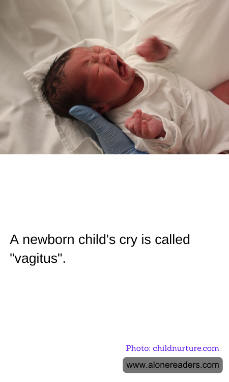 General Knowledge Learning Cards