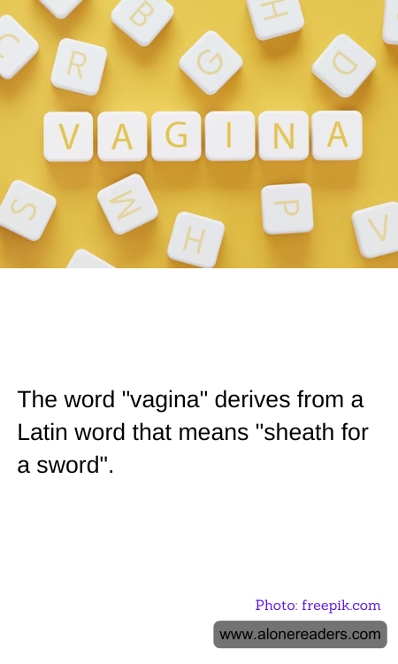 General Knowledge Learning Cards